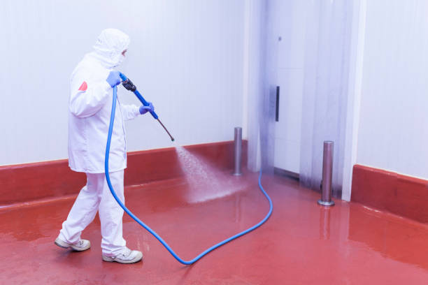 Best Playground Equipment Cleaning  in Timpson, TX